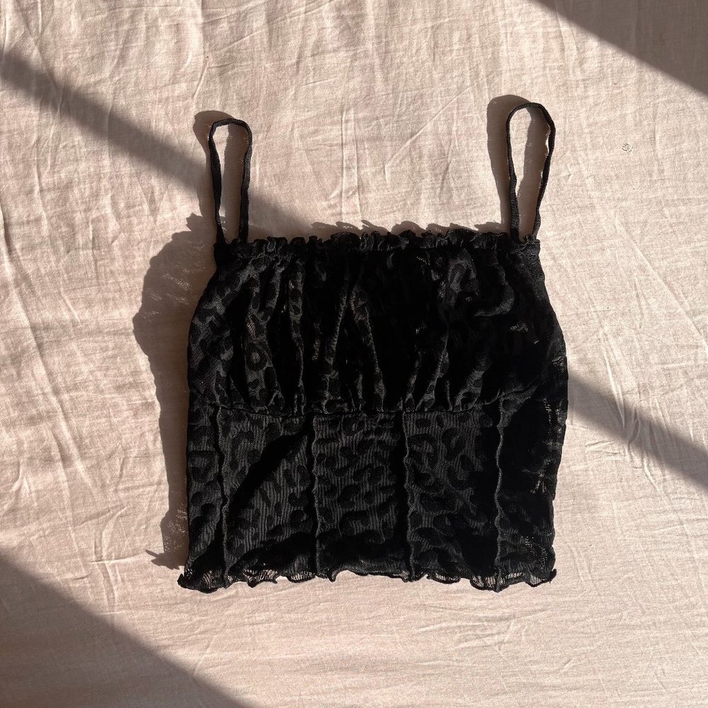 sheer and velvet bustier top xs